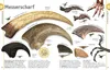 Dinosaurier Produktbild-Vorschau 6