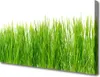 Tulup Leinwand-Bilder 100x50 Wandbild Canvas Kunstdruck Produktbild-Vorschau 1