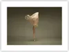 Poster - Poster ohne Rahmen - Ballerina Figur Tanzen - Produktbild-Vorschau 1