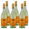 6 x Riunite Lambrusco Emilia IGT Bianco Produktbild-Vorschau 2