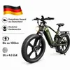 26 Zoll Fat-E-Bike PE900 mit 250W Motor, 52V20Ah Akku, hohe Produktbild-Vorschau 1