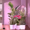 Rostlinná lampa LED vertikální stojící světlo pro růst Náhled obrázku produktu 6
