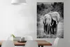 MuchoWow® Poster Elefanten in Kenia - schwarz und weiß Produktbild-Vorschau 2