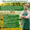 A man in an apron stands in front of a blurred background of plants, with text overlays describing the product. Produktbild-Vorschau