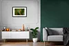 MuchoWow® MuchoWow® Gerahmtes Poster Rotaugenlaubfrosch im Produktbild-Vorschau 6