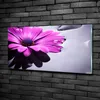 Tulup® Glas-Bild - 100x50 -Wandkunst - Wandbild hinter Produktbild-Vorschau 2