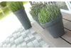 Klassischer runder Blumentopf DBC46 | Anthrazit Produktbild-Vorschau 14