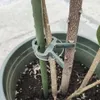 Gardlov 22586 Pflanzenklammern, 108 Stück Produktbild-Vorschau 17