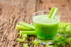 SAFLAX Garden to go - BIO - Celer - Vysoký Utah - Apium Náhled obrázku produktu 8