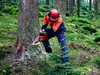 Einhell Akku-Kettensäge GP-LC 36/40 Li BL-Solo Produktbild-Vorschau 24