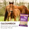 Supravit Luzernecobs 20kg | Luzernepellets mit hohem Anteil Produktbild-Vorschau 4