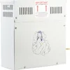 4,5 KW 220 V parní generátor sprcha sauna parní lázeň Náhled obrázku produktu 3