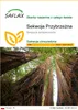 SAFLAX - Sekwoja Przybrzeżna - 50 Nasiona - Sequoia Podgląd zdjęcia produktu 1