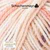 Schachenmayr Bravo Color, 50g Beige Handstrickgarne Produktbild-Vorschau 2
