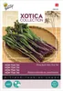Rettich Hon Tsai Tai | Rettichzaden van Buzzy Seeds Productafbeelding-voorbeeld 1