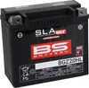 BATTERIA SLA Batteria esente da manutenzione attivata in Anteprima dell’immagine prodotto 1