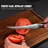 PAUDIN N15 Coltello da pomodoro 12,5 cm – Seghettato – Anteprima dell’immagine prodotto 12