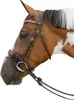 Kentucky Horsewear Anti Fly Nose Net (filet pour nez de Voir les images du produit 3