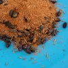 Gewürzmischung für Plov nach Usbekischer Art 100g, frei von Produktbild-Vorschau 2