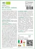 SAFLAX  -- Broccolo - Calabrese - 100 semi - Brassica Anteprima dell’immagine prodotto 3