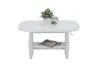 A white coffee table with a plant and a jar on top, and magazines on the shelf below, isolated on a white background. Produktbild-Vorschau