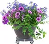 XINZI Chariot à plantes rond Ø 39-52cm Chariot à fleurs Voir les images du produit 10