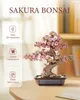 RoboTime 3D Holzpuzzle Bonsai sakura Produktbild-Vorschau 12