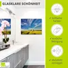 ARTland Glasbild Rapsfeld I Größe: 60x45 cm Produktbild-Vorschau 2