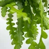 Sägeblattkaktus - Epiphyllum 'Anguliger' - Höhe 30-40cm - Produktbild-Vorschau 4