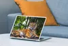 MuchoWow® Laptop Aufkleber Sticker Cover Tiger - Tiere - Produktbild-Vorschau 4