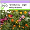 SAFLAX - Polne Kwiaty - Cięte Kwiaty Łąkowe - 1000 Nasiona Podgląd zdjęcia produktu 4