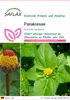 SAFLAX - Parakresse - Acmella oleracea - 500 Samen Produktbild-Vorschau 1
