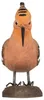 WILDLIFEGARDEN Wildlife Garden WG4472 DecoBird Wiedehopf: Vista previa de la imagen del producto 5