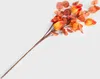 HOMLA Gałązka sztuczna MICHU miechunka pomarańczowa 60 cm Podgląd zdjęcia produktu 1