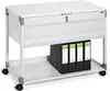 DURABLE Carrello per cartelle sospese SYSTEM 100 MULTI TOP, Anteprima dell’immagine prodotto 3