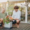 Gusta Garden TOM TOMATO 3er-Set, hellgrau Produktbild-Vorschau 12