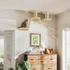 PawHut Katzen Kletterwand Set, 3-teilig Katzenmöbel mit Produktbild-Vorschau 2