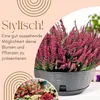 2er Set Pflanzschale Blumenschale Pflanzschalen für Produktbild-Vorschau 3
