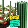 PFLANZENSTÄBCHEN 120 cm, 11 mm, 10er-Set Produktbild-Vorschau 1