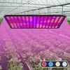 A hydroponic greenhouse with rows of lettuce plants under a full-spectrum LED grow light. Náhľad obrázku produktu