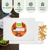 Chili Samen (Habanero Orange, 250.000 Scoville) - Chili Produktbild-Vorschau 4
