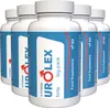 Urolex Forte für Männer - 300 Kapseln (5 x 60 Kapseln) - Produktbild-Vorschau 1