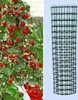A split image showing a plant with strawberries and a green mesh tube. Produktbild-Vorschau
