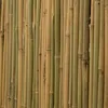 A close-up view of a wall made of vertical bamboo poles. Náhled obrázku produktu