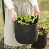 A person is holding a black fabric grow bag filled with young kale plants. Another grow bag with red-leafed plants is visible in the background. Náhled obrázku produktu