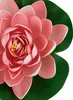 Ninfea Artificiale Fiore di Loto Galleggiante Per Acqua Anteprima dell’immagine prodotto 5