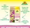 Neudorff  - Azet DüngeSticks für Orchideen 40 Sticks Produktbild-Vorschau 2