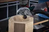 Wolfcraft Meuleuse d'angle Ensemble d'outils pour le Voir les images du produit 4