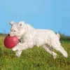 Trixie Hundescheibe Frisbee Blau Orange Gummi Produktbild-Vorschau 15