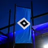 Hamburger SV Hissfahne "Arena" 150x400cm  HSV Produktbild-Vorschau 3